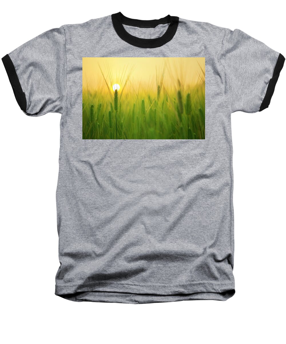 Photo Baseball T-Shirt featuring the photograph Dawn at the wheat field by Top Wallpapers