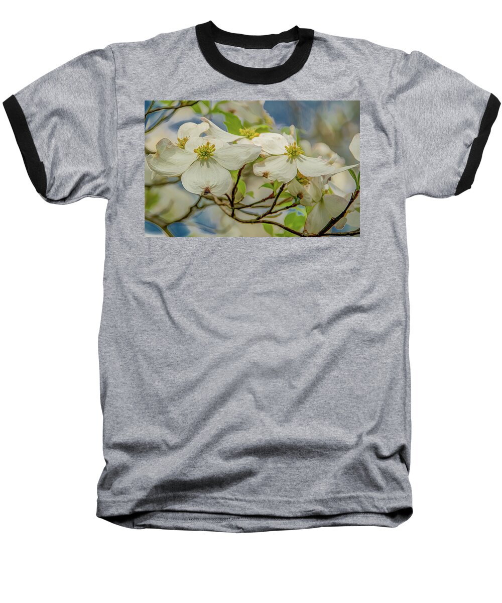 Dogwood Blossoms Baseball T-Shirt featuring the photograph Delicate Dogwoods by Marcy Wielfaert