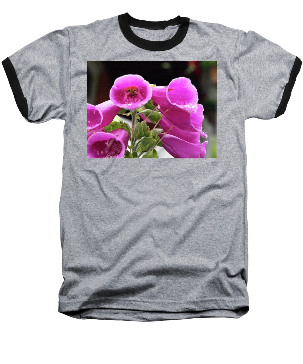 Fox Glove Baseball T-Shirt featuring the photograph Down the Throat by Jeffrey Peterson