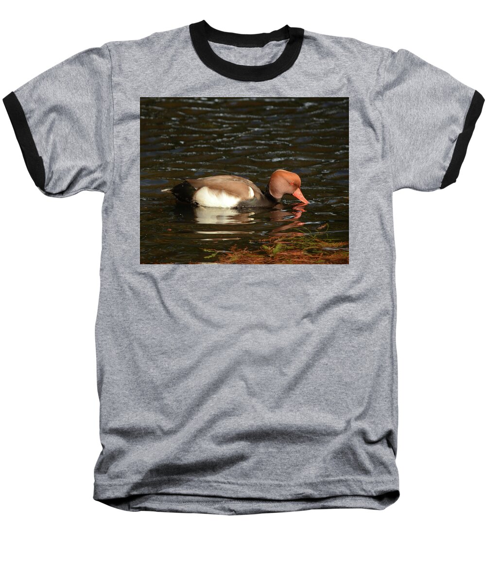 Duck Baseball T-Shirt featuring the photograph Duck on Water by Maggy Marsh
