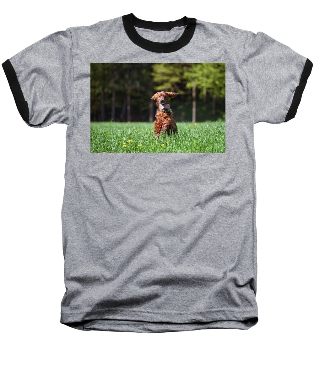 Forest Baseball T-Shirt featuring the photograph Elf by Robert Krajnc