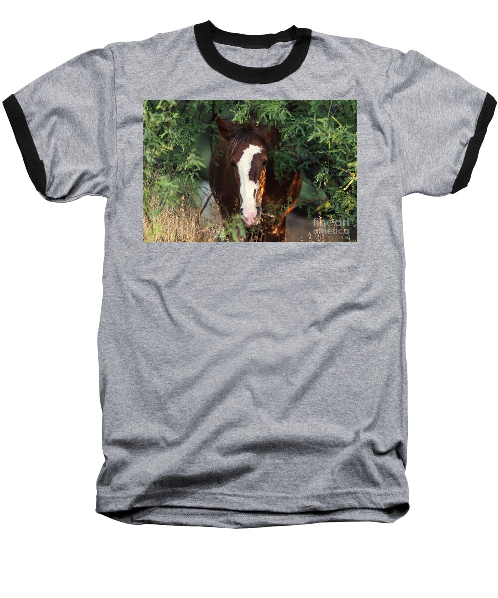Mare Baseball T-Shirt featuring the photograph Emerging by Shannon Hastings