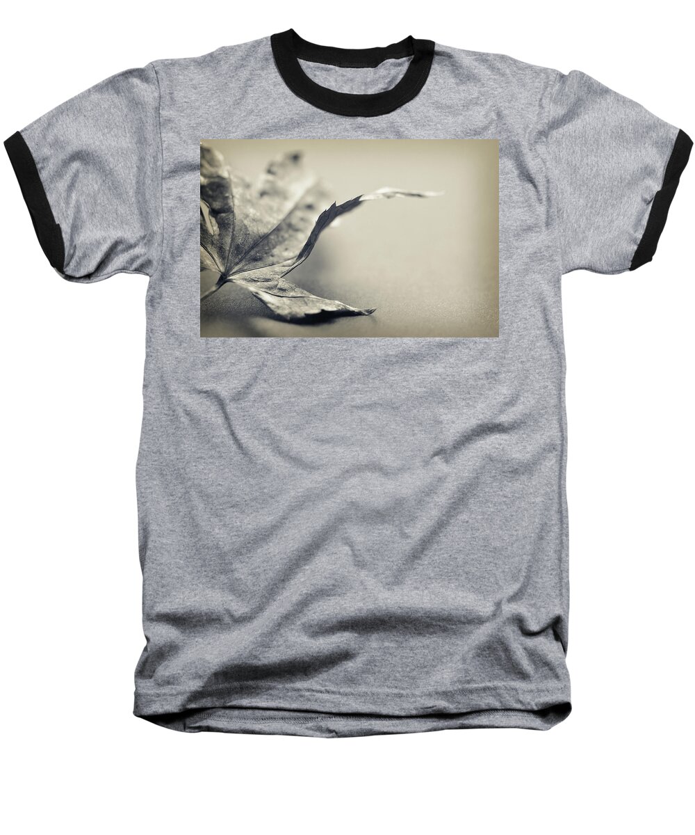 Black And White Baseball T-Shirt featuring the photograph Entranced by Michelle Wermuth