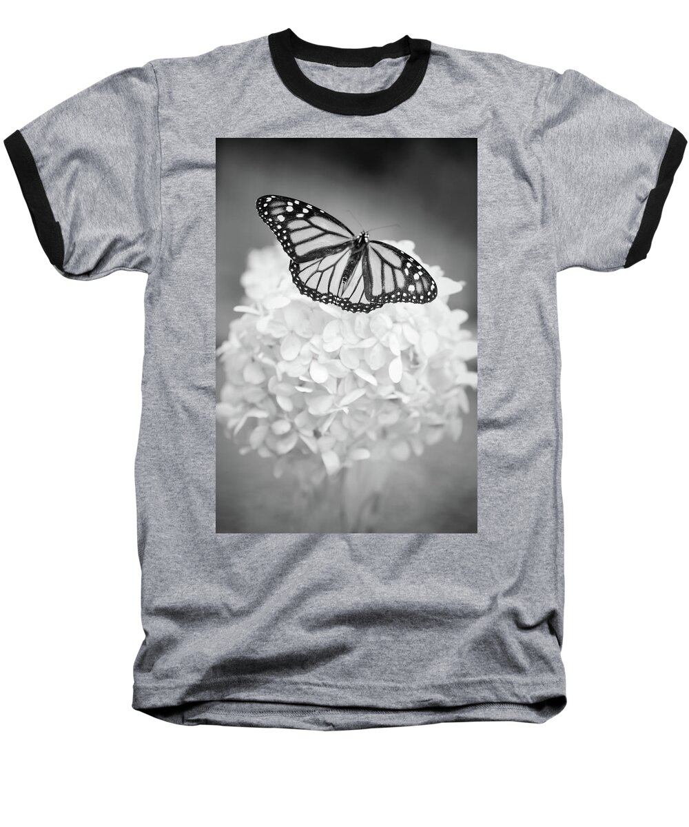 Butterfly Baseball T-Shirt featuring the photograph Essence by Michelle Wermuth