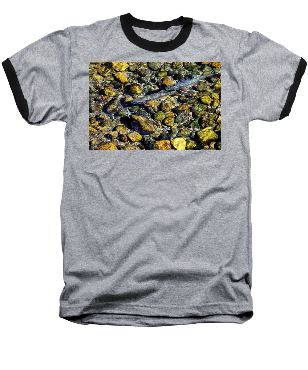Aspens Baseball T-Shirt featuring the photograph Fall Brook Trout by Johnny Boyd