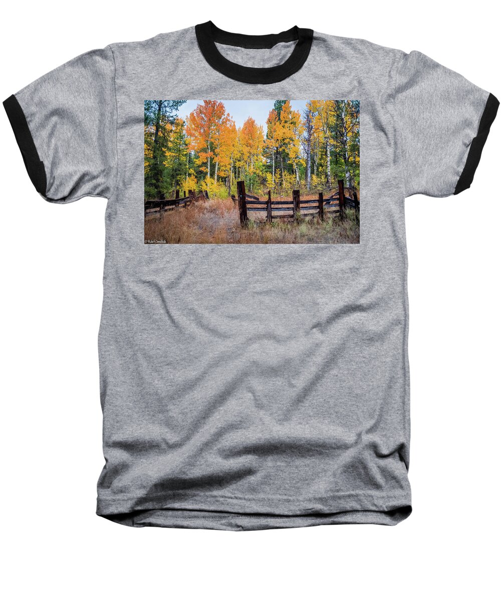Fall Colors Baseball T-Shirt featuring the photograph Fall Colors by Mike Ronnebeck