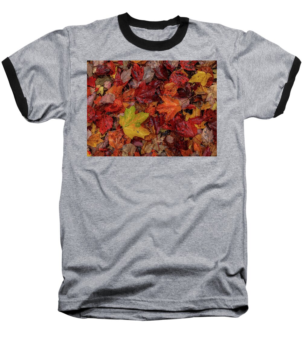 Autumn Baseball T-Shirt featuring the photograph Fall Colors by Rob Davies