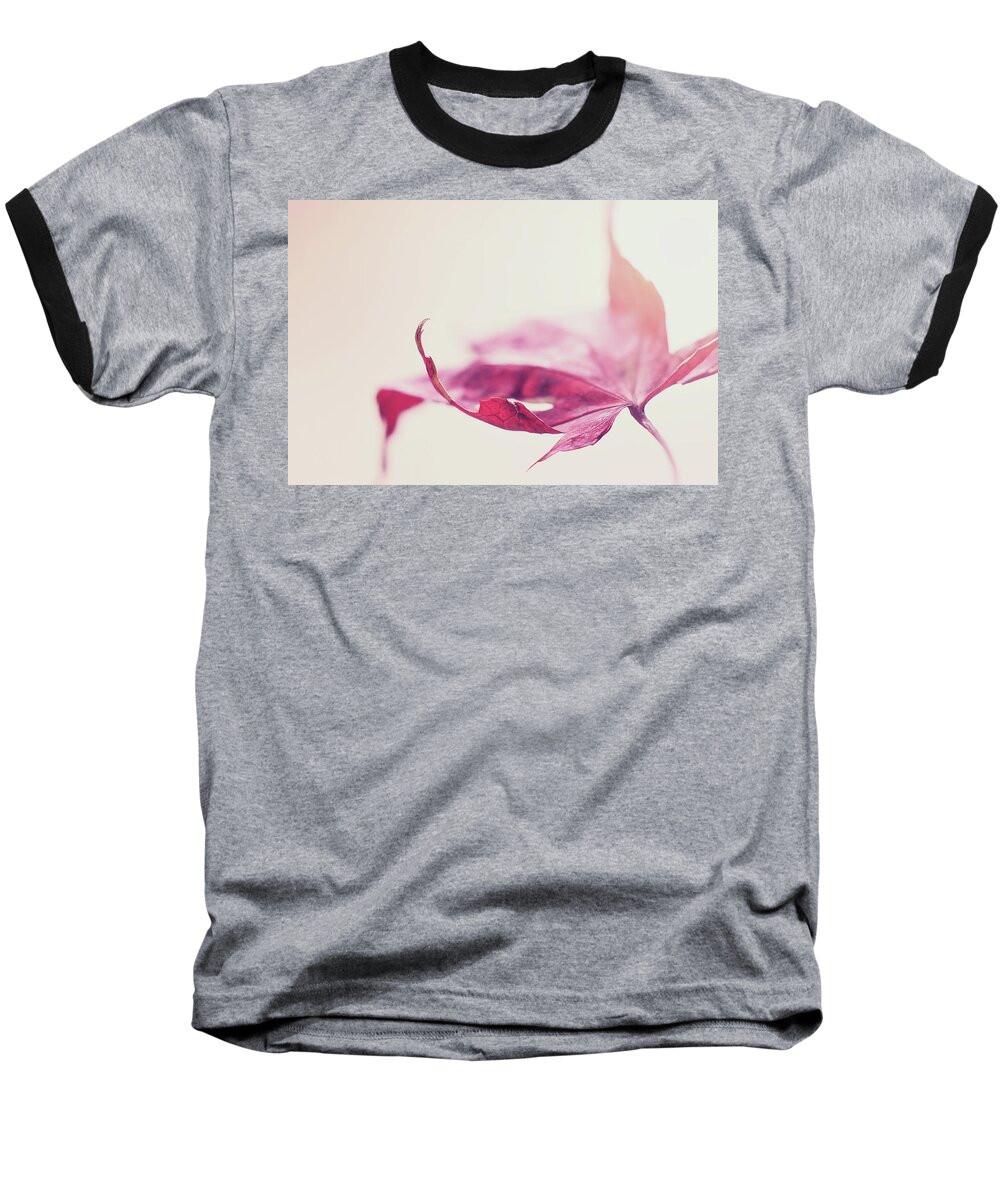 Red Leaf Baseball T-Shirt featuring the photograph Fancy Flight by Michelle Wermuth