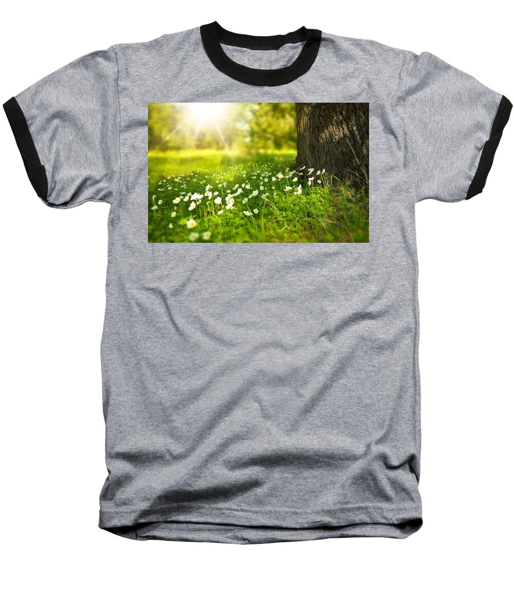 Flowers Baseball T-Shirt featuring the photograph Field of daisies by Top Wallpapers