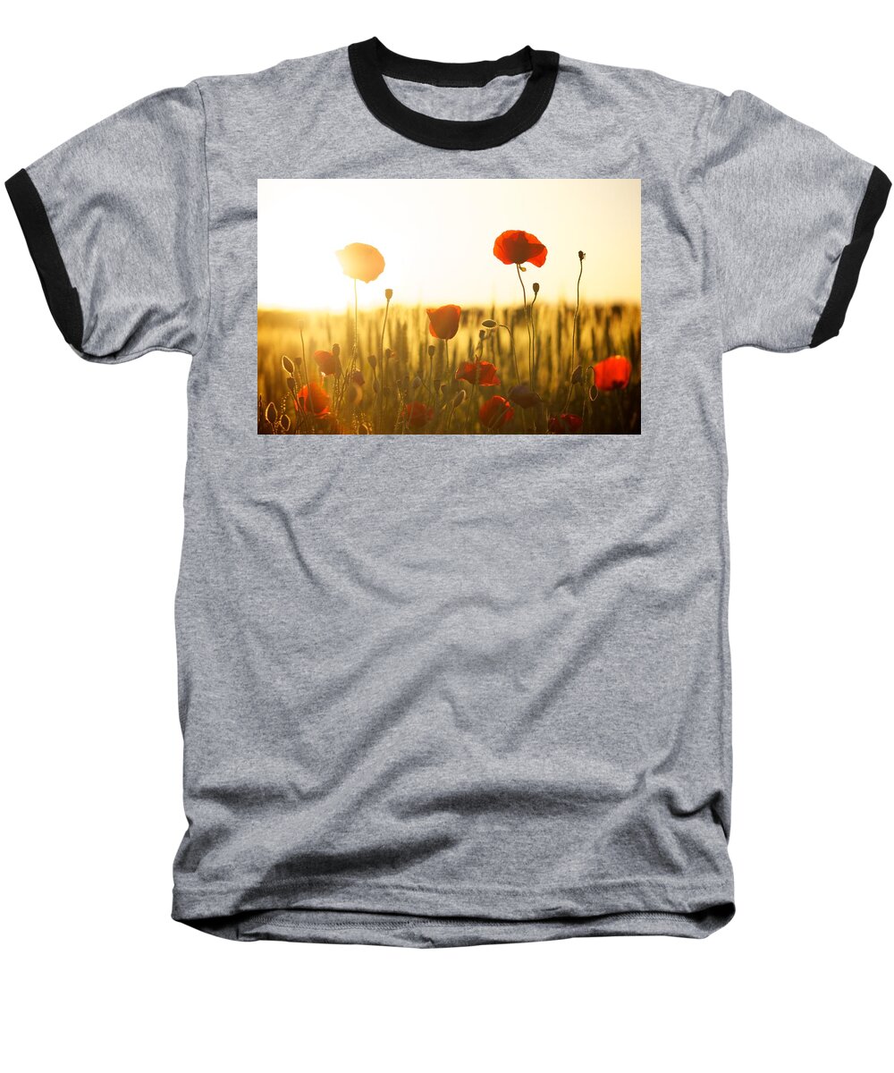 Flower Baseball T-Shirt featuring the photograph Field of poppies at dawn by Top Wallpapers