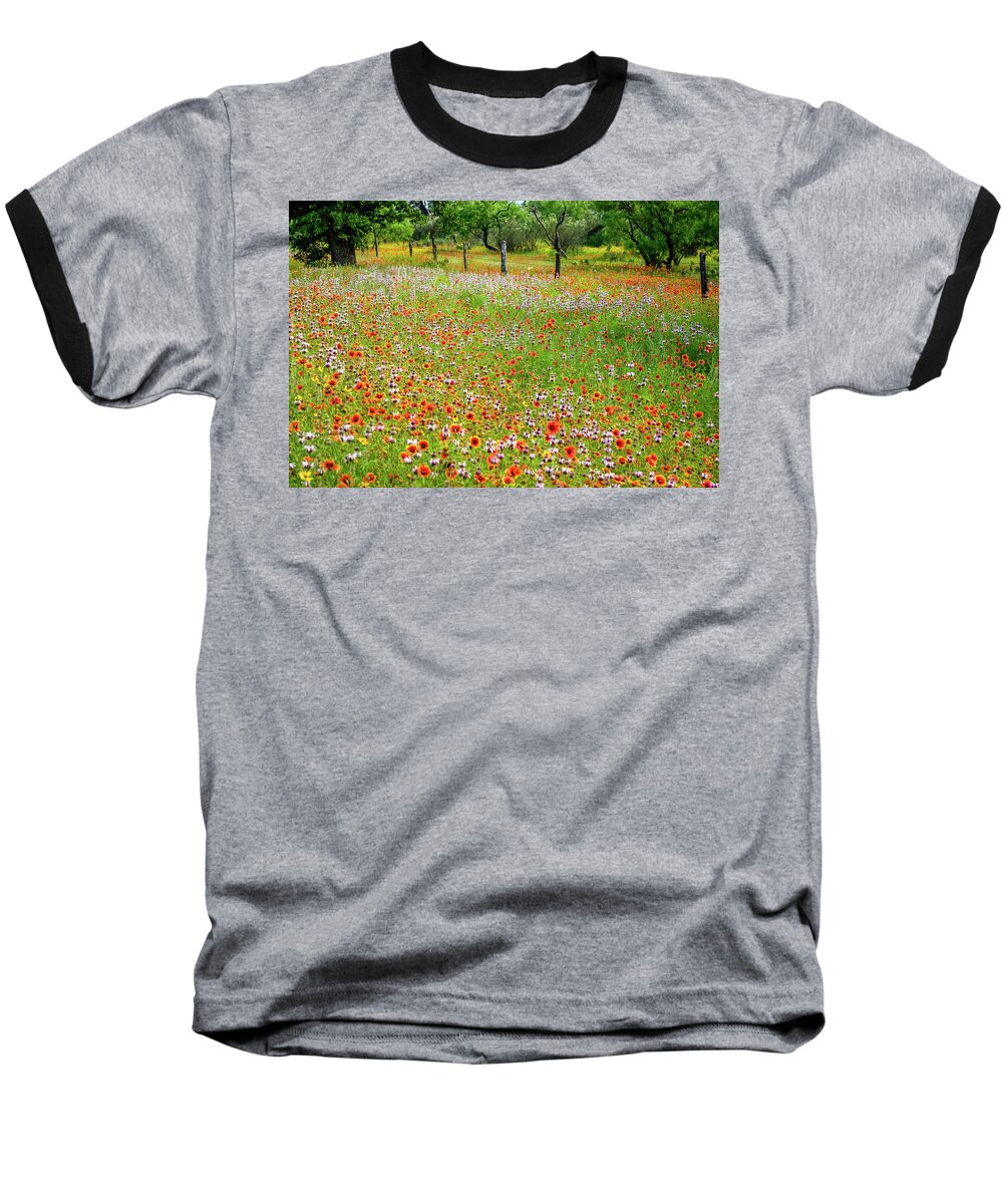 Texas Wildflowers Baseball T-Shirt featuring the photograph Fire Wheel Bliss by Johnny Boyd