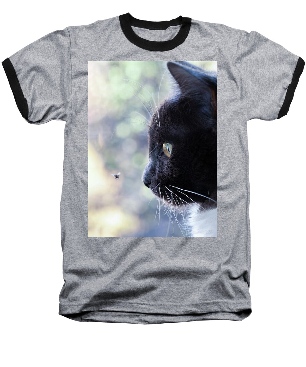 Cat Baseball T-Shirt featuring the photograph Flyby by Alexander Fedin