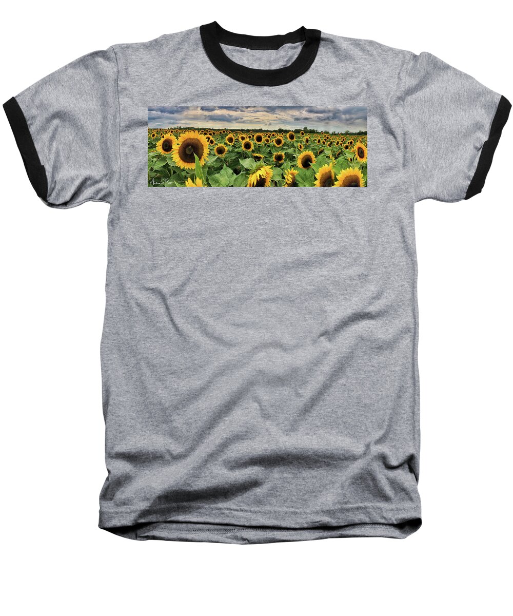 Sunflower Baseball T-Shirt featuring the photograph Following the Sun by Andrea Platt