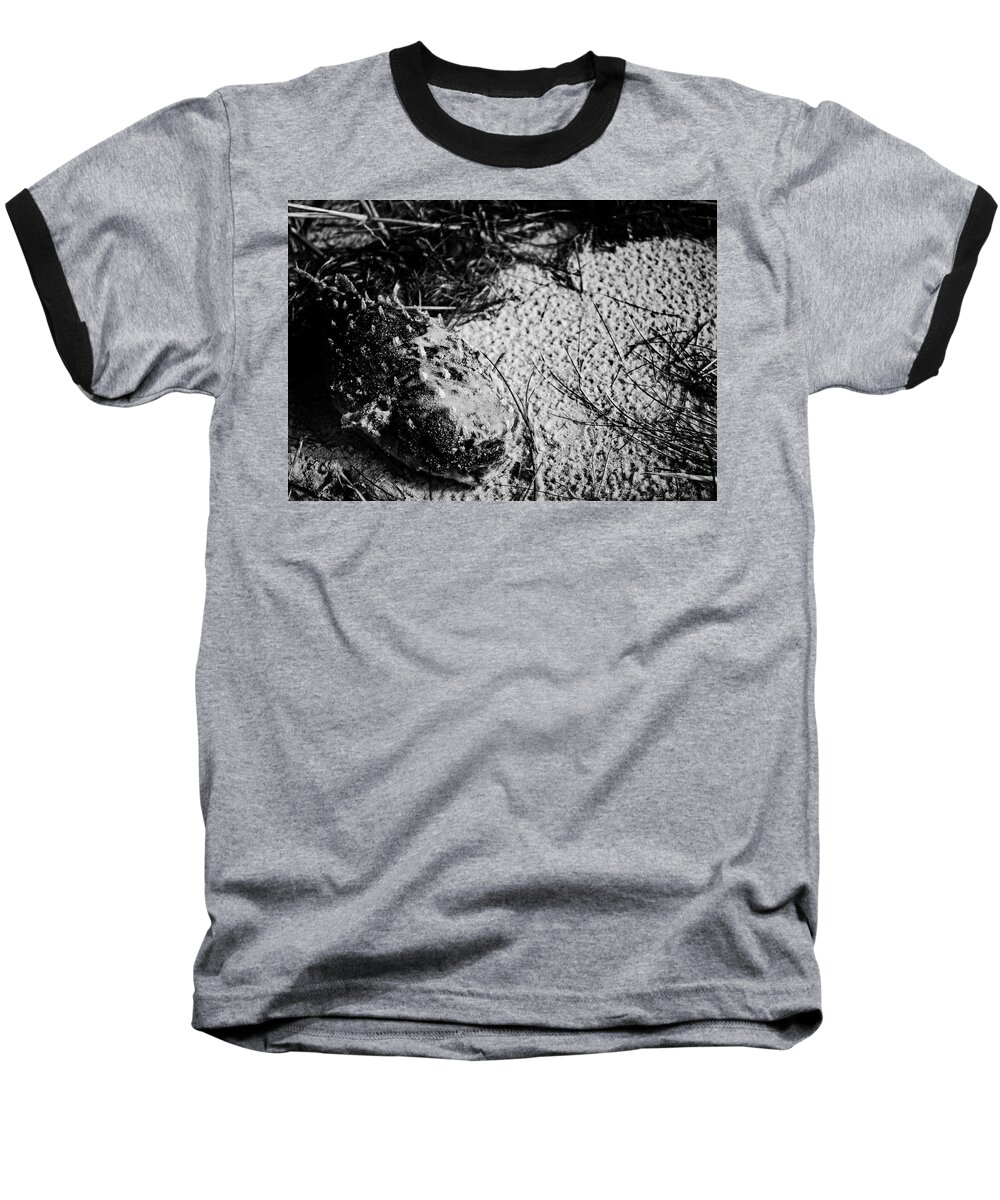 Dead Animal Baseball T-Shirt featuring the photograph Found Fish by Maggy Marsh