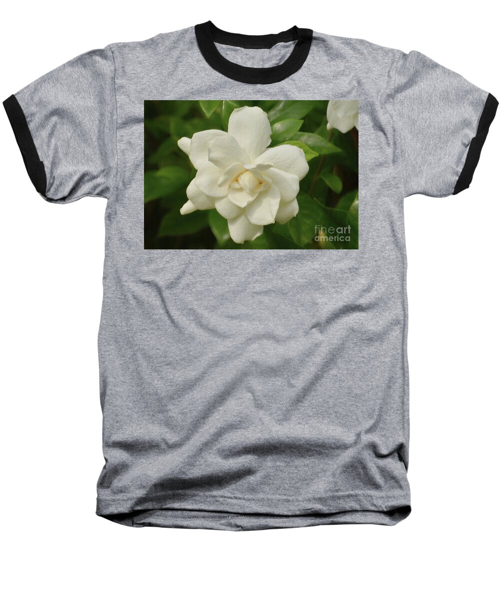Flowers Baseball T-Shirt featuring the photograph Gardenia Perfection II by Kathy Baccari