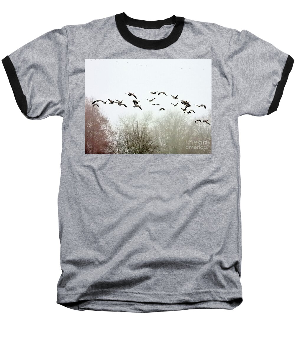 Canadian Geese Baseball T-Shirt featuring the photograph Geese in FLight by Scott Cameron
