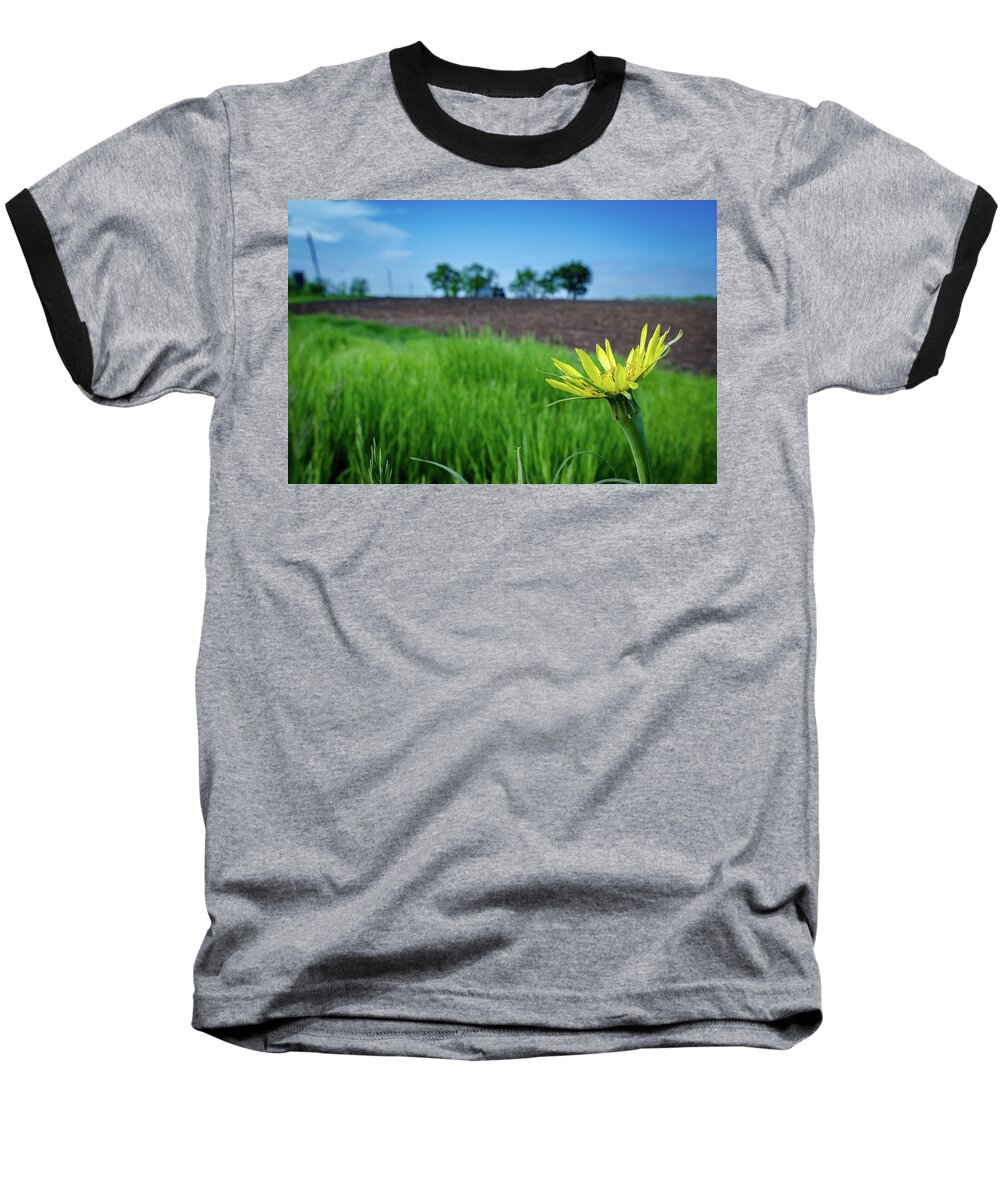 Flower Baseball T-Shirt featuring the photograph Goat's Beard on Nelson Farm II by Jeff Phillippi