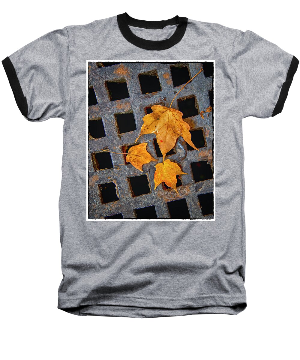 Leaves Baseball T-Shirt featuring the photograph Grateful Leaves by Harriet Feagin