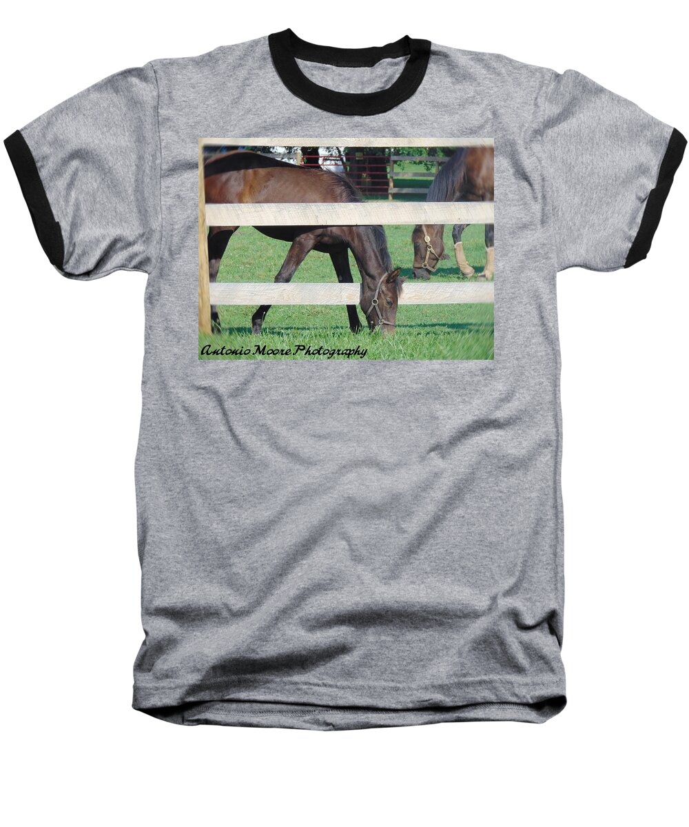Horse Baseball T-Shirt featuring the photograph Grazing Beauty by Antonio Moore
