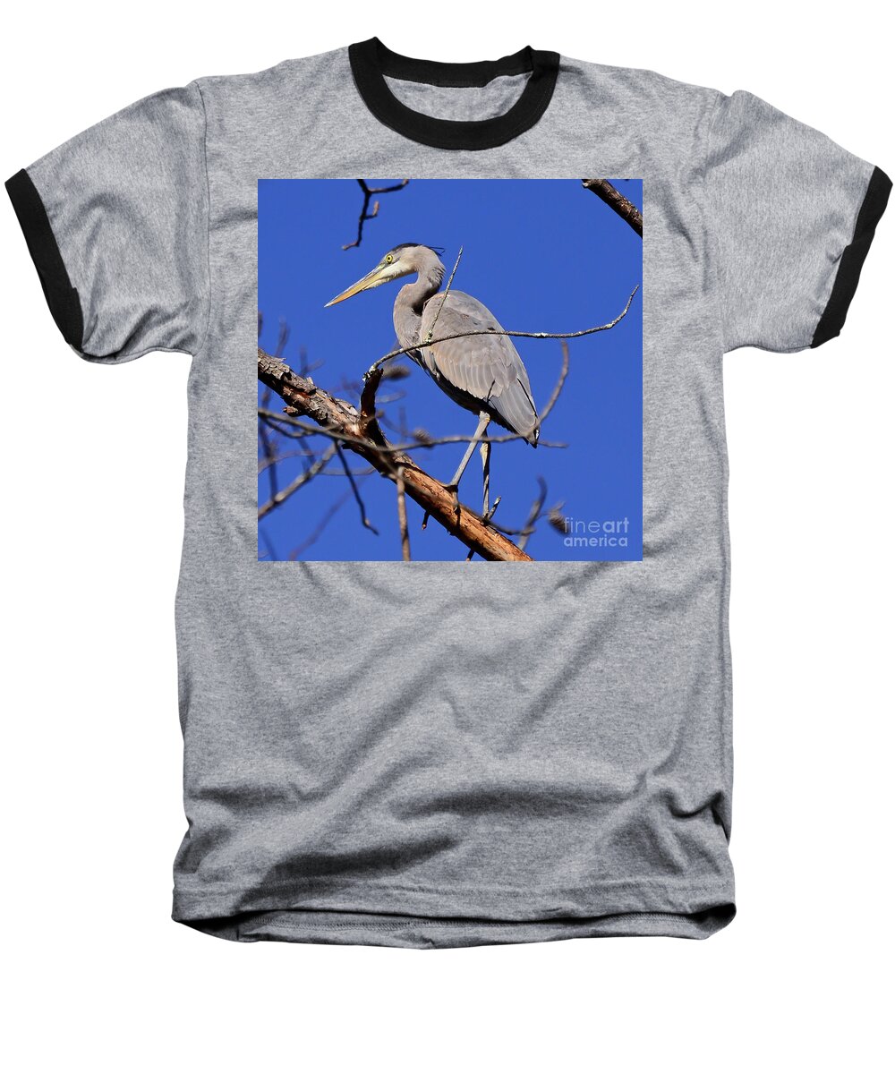 Great Blue Heron Baseball T-Shirt featuring the photograph Great Blue Heron Strikes A Pose by Kerri Farley