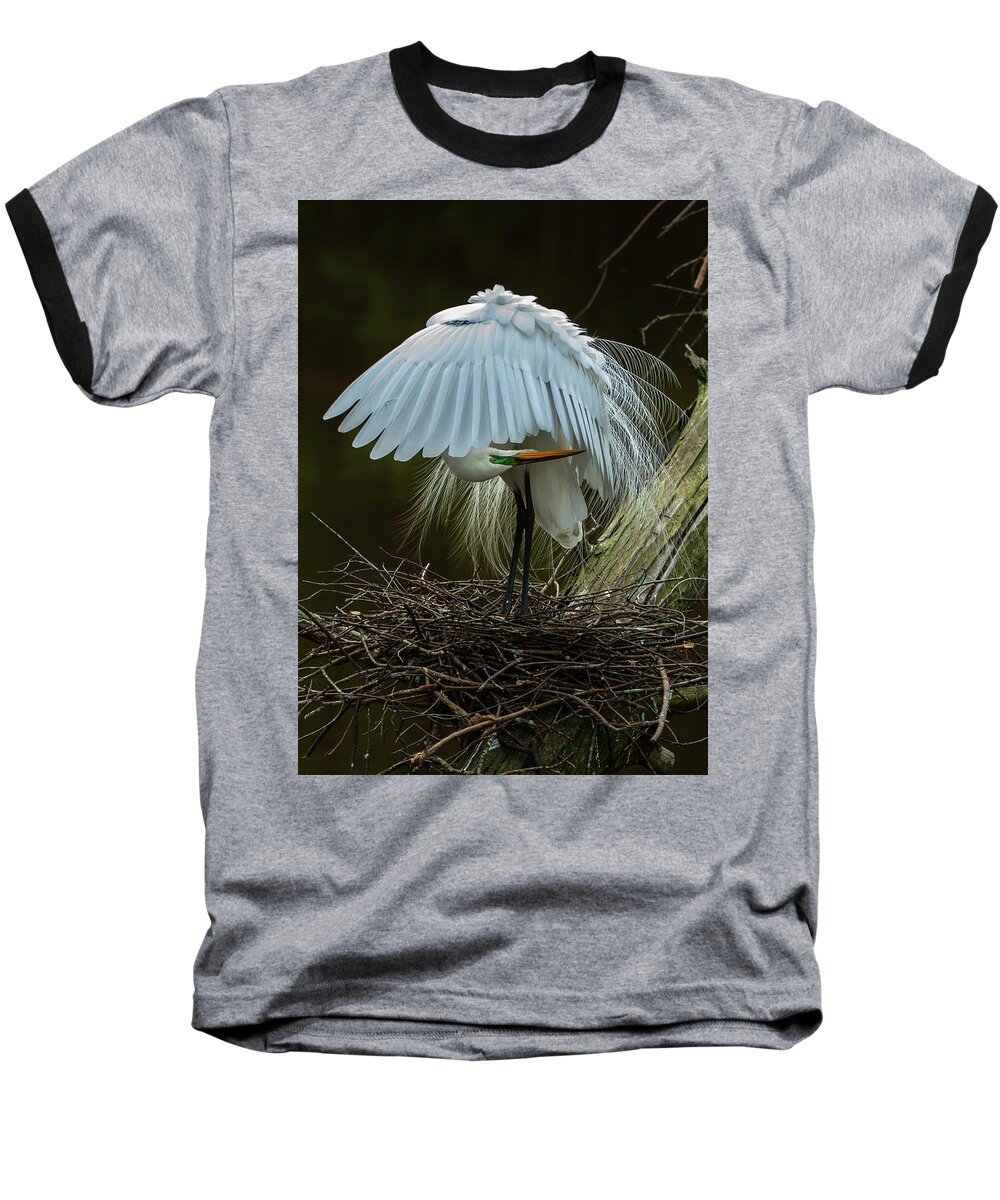Nature Baseball T-Shirt featuring the photograph Great Egret Beauty by Donald Brown