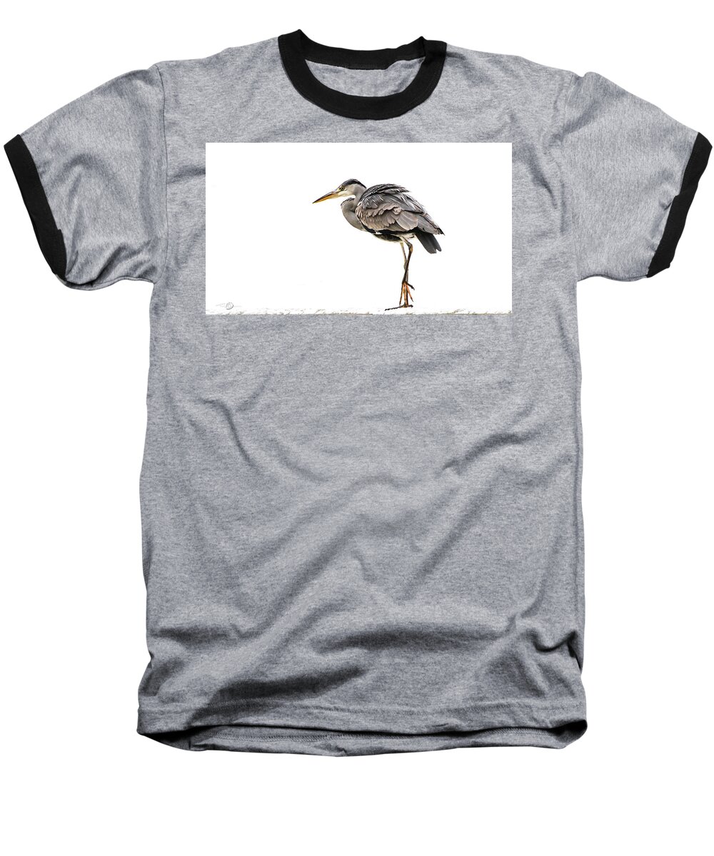 Grey Heron Baseball T-Shirt featuring the photograph Grey Heron on snow by Torbjorn Swenelius