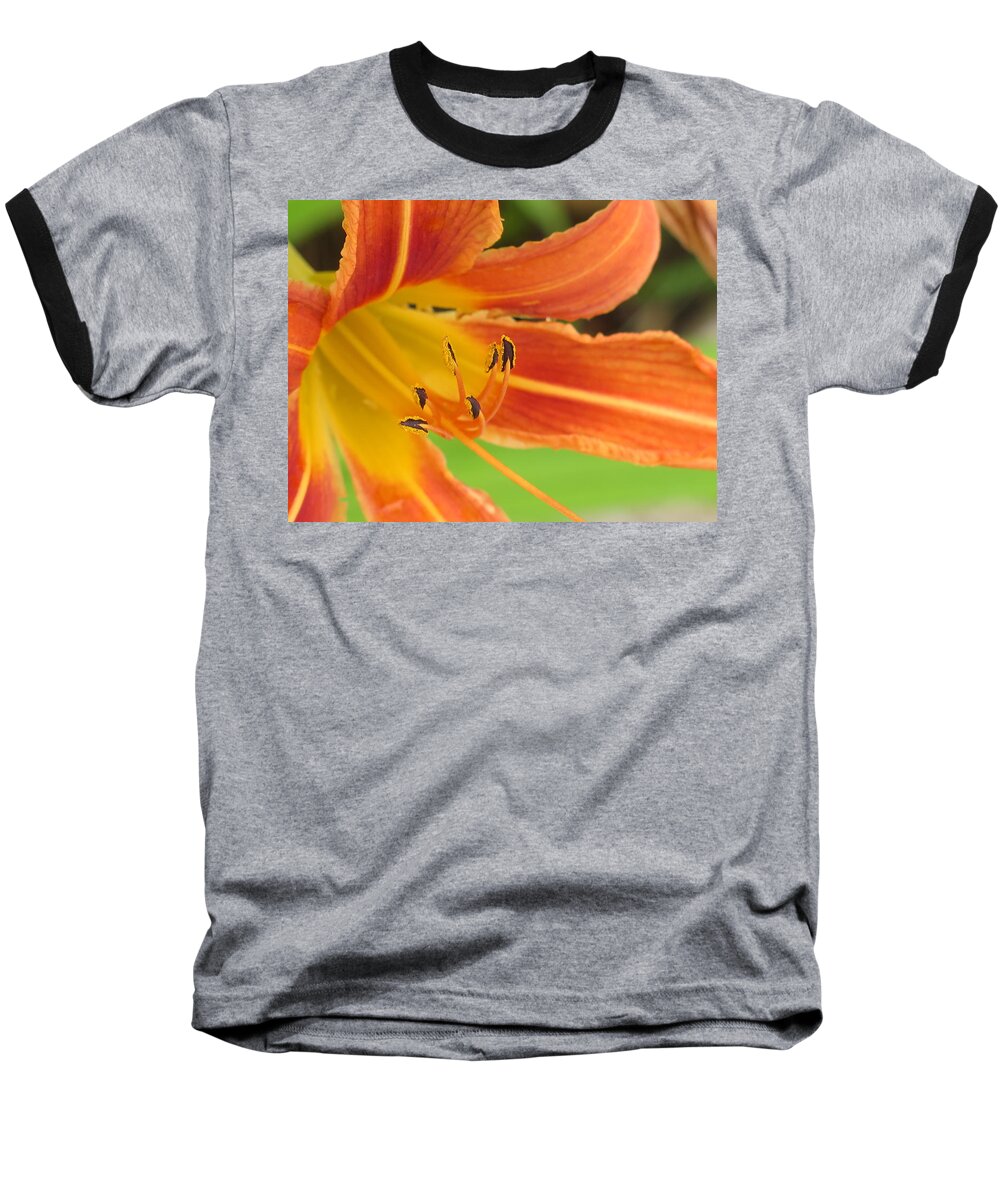 Day Lily Baseball T-Shirt featuring the photograph Guardian Serpents by David Coblitz