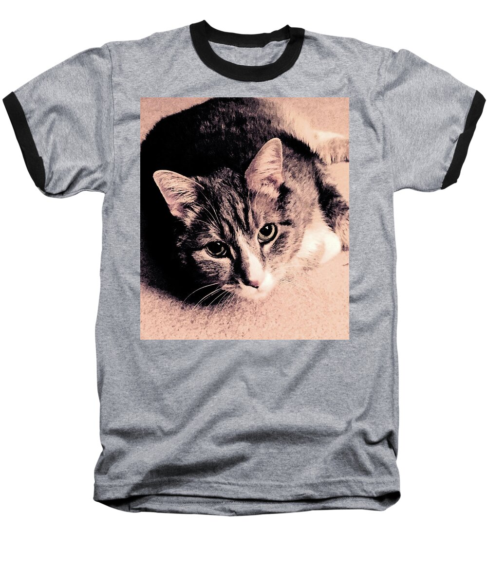 Cat Baseball T-Shirt featuring the photograph Hello by Geoff Jewett