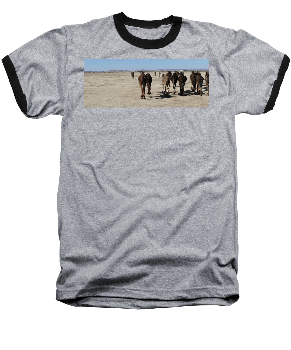 Morocco Baseball T-Shirt featuring the photograph Herd of camels crossing the highway near Rissani by Steve Estvanik