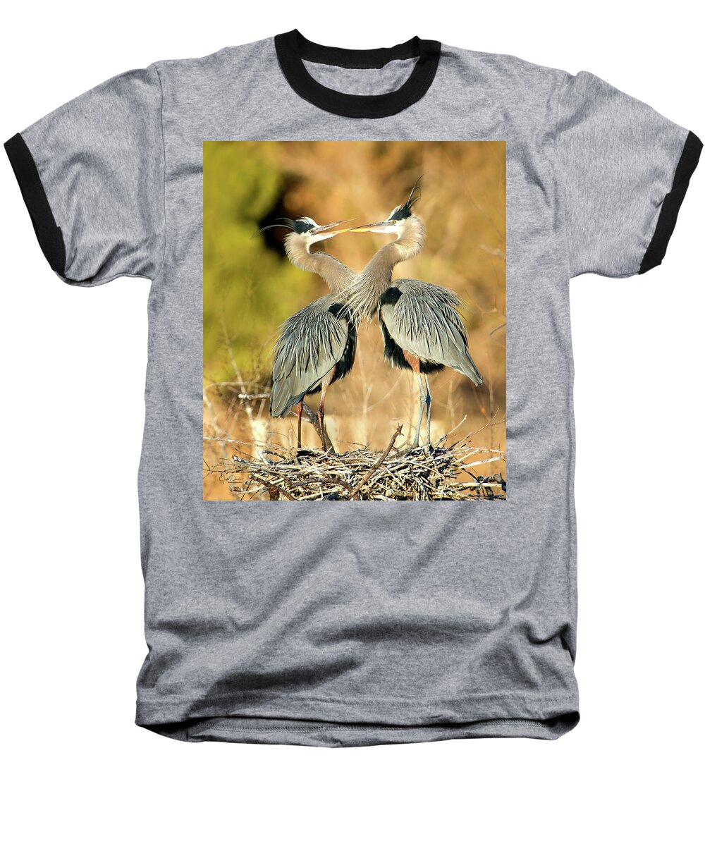 Great Blue Baseball T-Shirt featuring the photograph Heron Sweeties by Judi Dressler