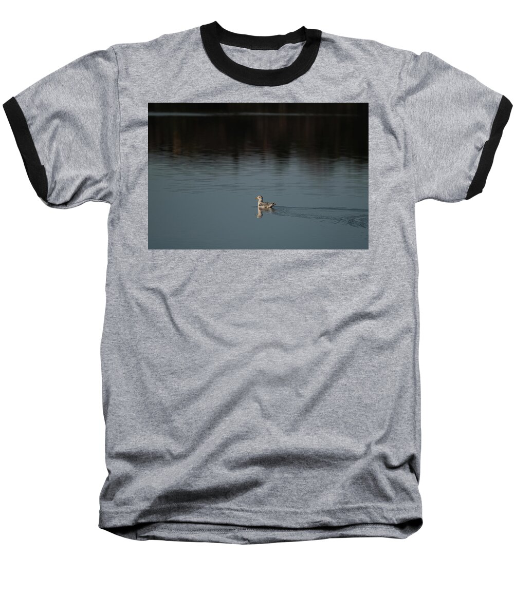 Sweden Baseball T-Shirt featuring the pyrography Herring gull by Magnus Haellquist