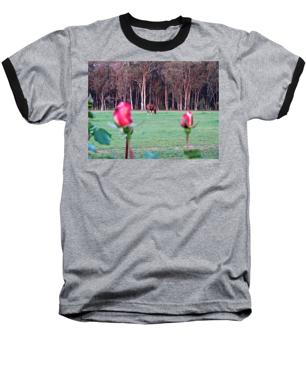 View Baseball T-Shirt featuring the photograph Horse and Roses by Joan Stratton