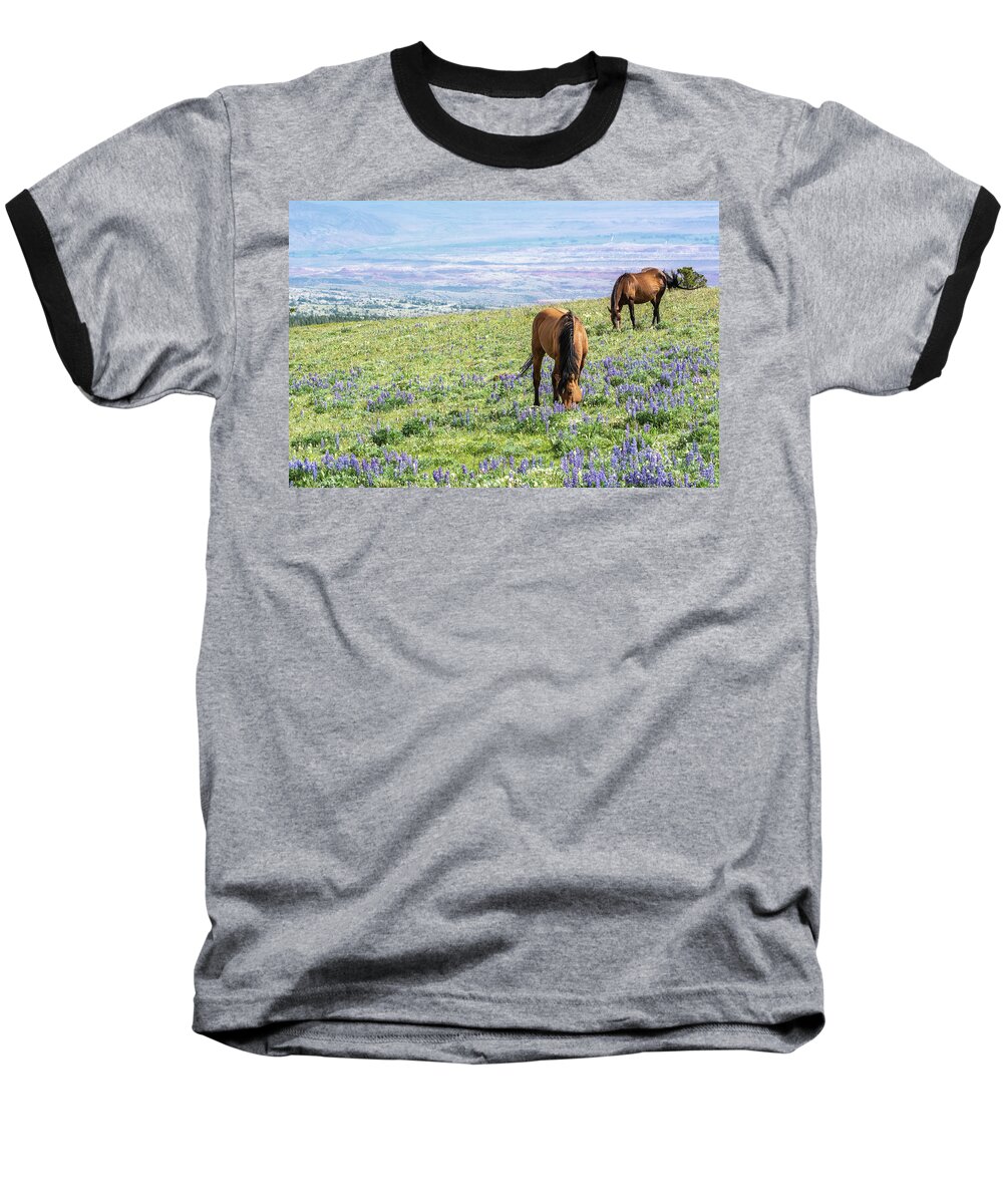 Pryor Mountain Baseball T-Shirt featuring the photograph Idyllic Pryor Mountain Mustang View by Douglas Wielfaert