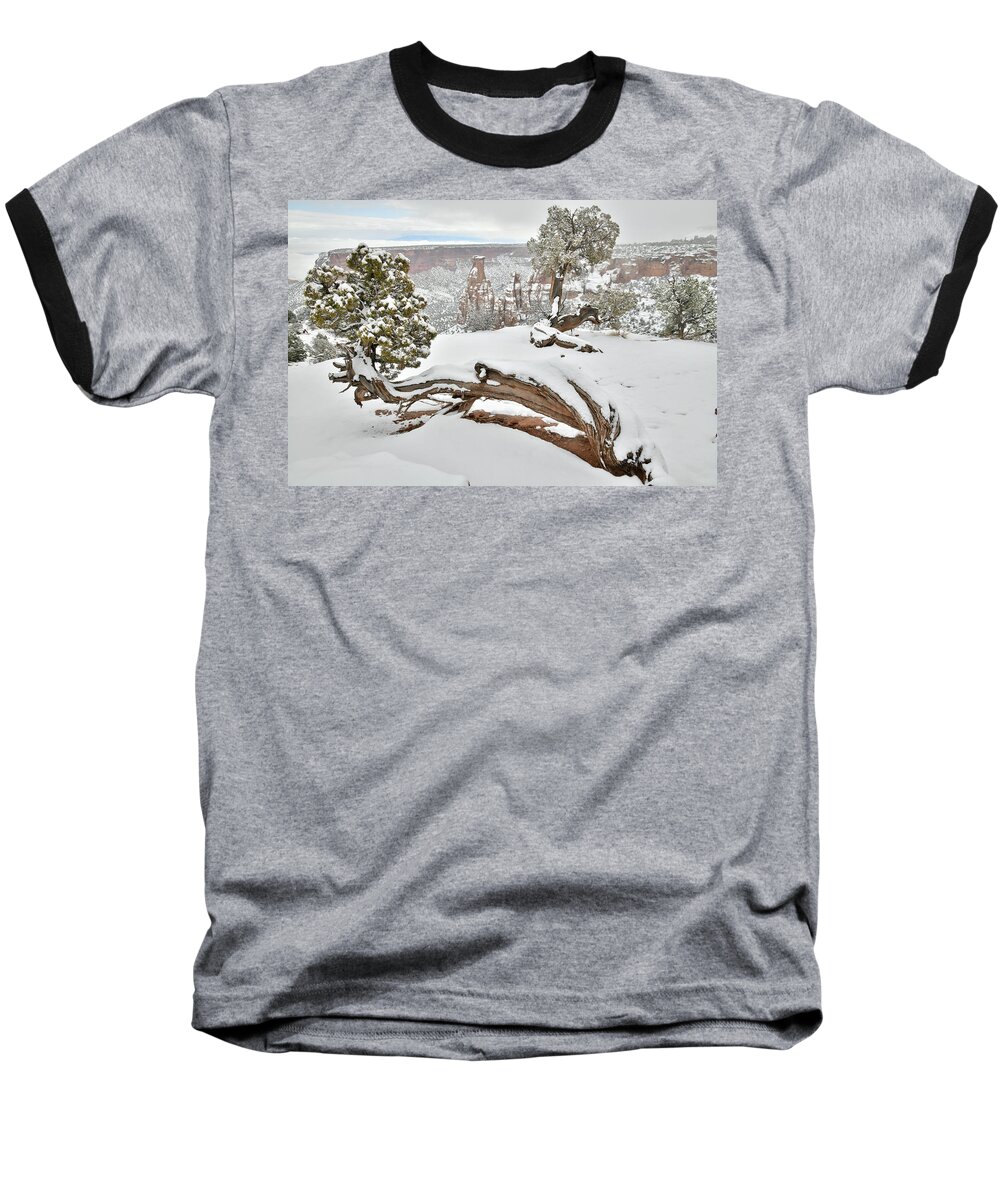 Colorado National Monument Baseball T-Shirt featuring the photograph Independence Canyon of Colorado National Monument by Ray Mathis