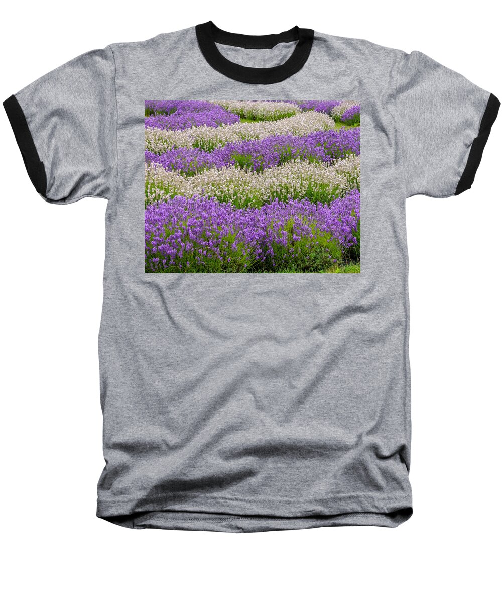 Flowers Baseball T-Shirt featuring the photograph Lavender Field by Susan Rydberg