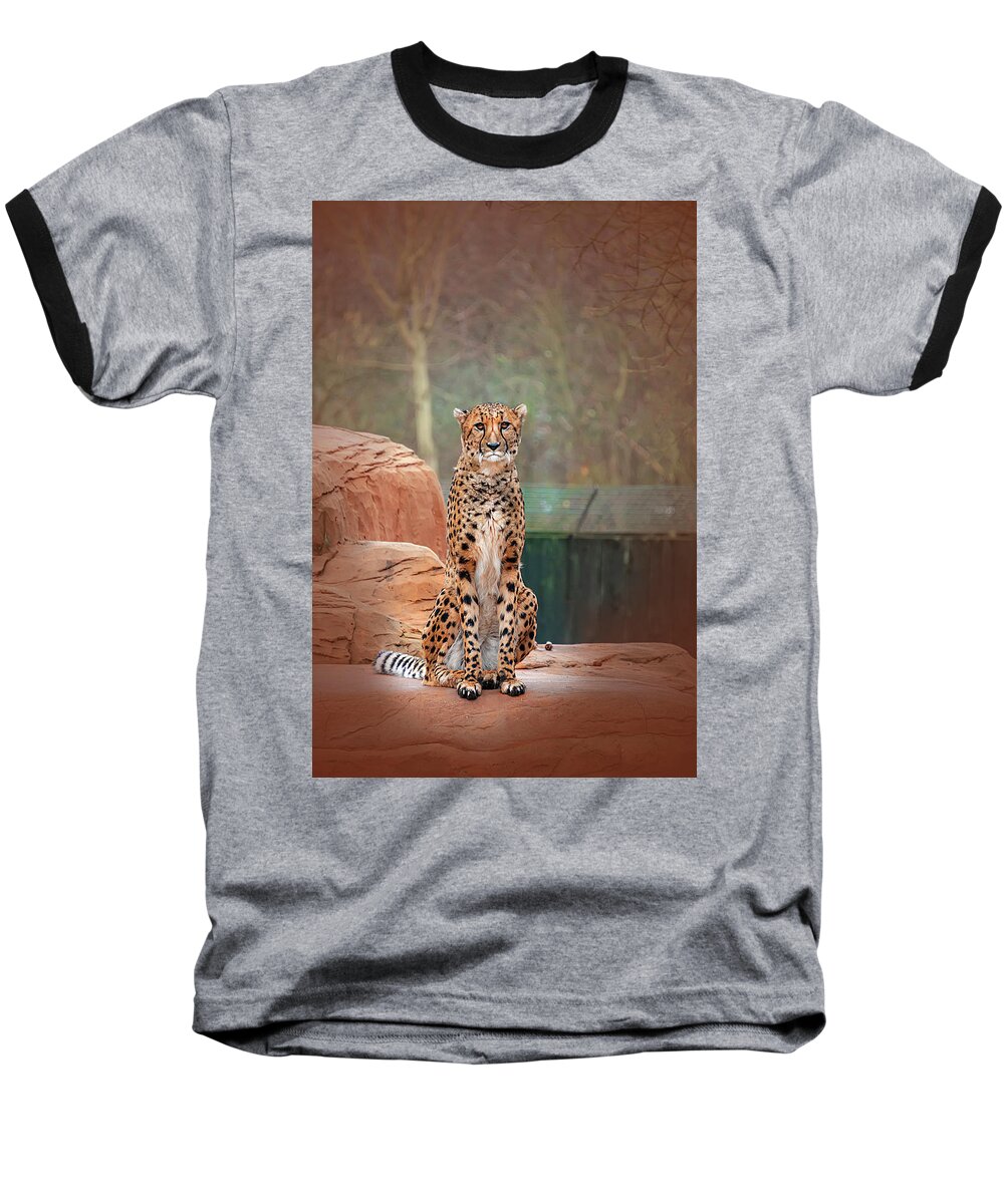 Leopard Baseball T-Shirt featuring the photograph Leopard by Gouzel -
