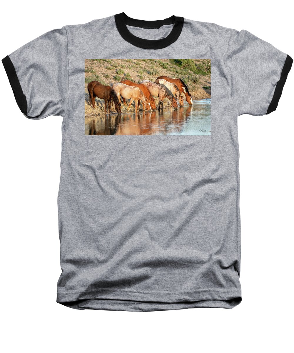 Horses Baseball T-Shirt featuring the photograph Lineup at the Pond-- Wild Horses by Judi Dressler