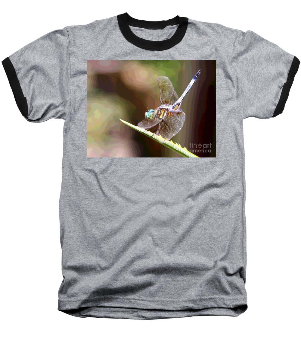 Madame Baseball T-Shirt featuring the photograph Madame Dragonfly Practicing the Fan Moves by Philip And Robbie Bracco