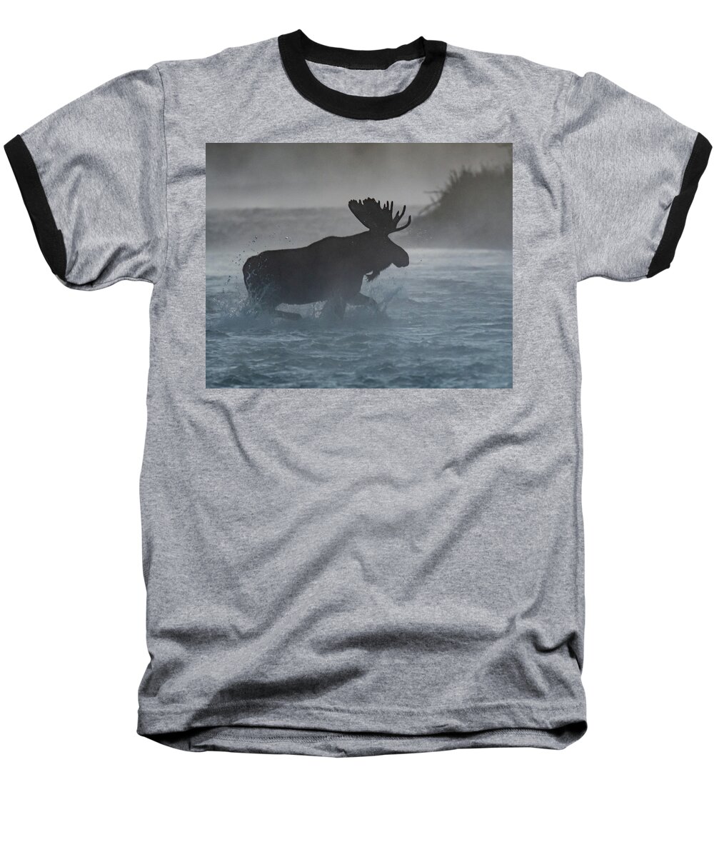 Moose Baseball T-Shirt featuring the photograph Morning crossing by Mary Hone