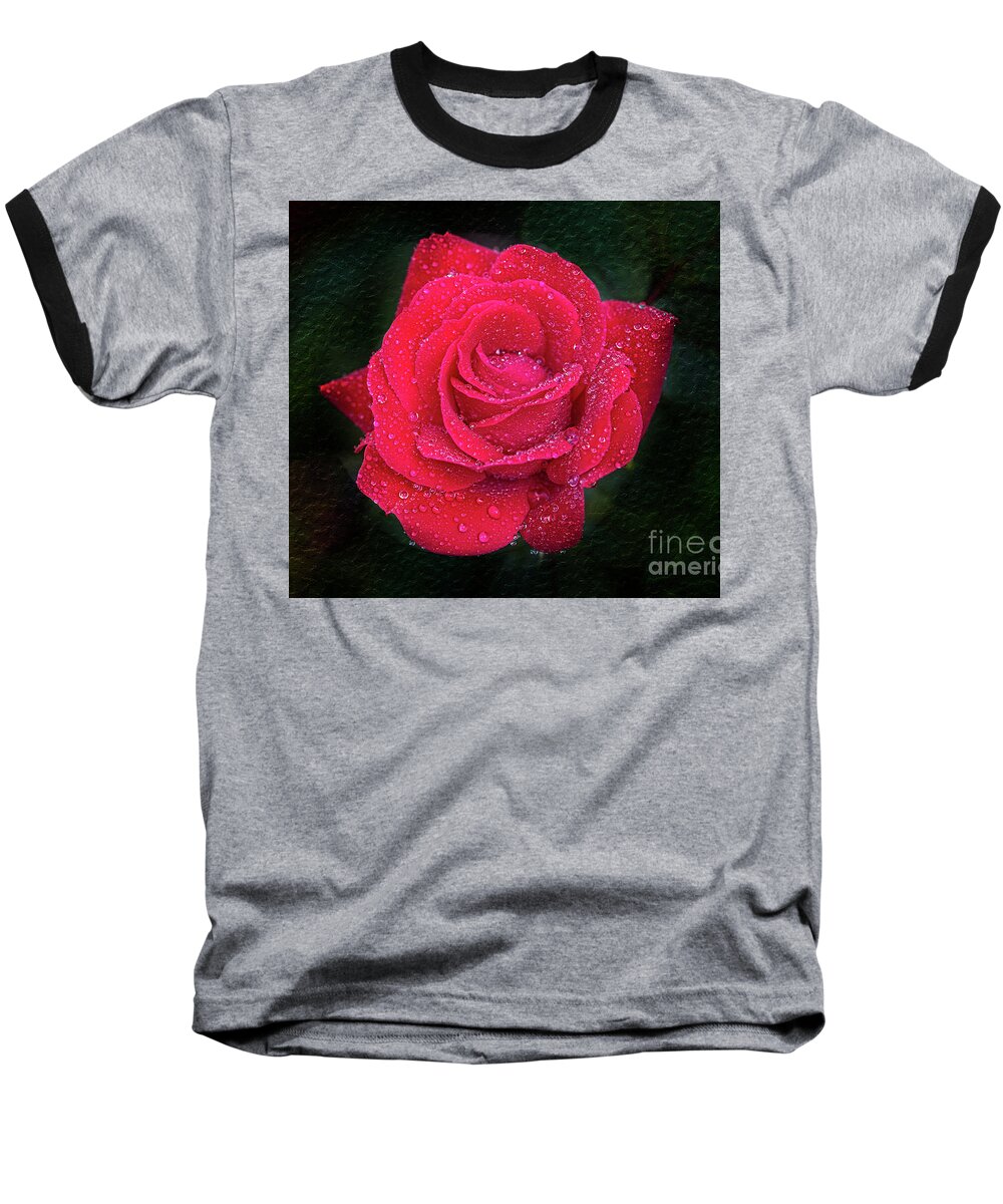 Rose Baseball T-Shirt featuring the photograph Morning mist on red rose by Bernd Laeschke