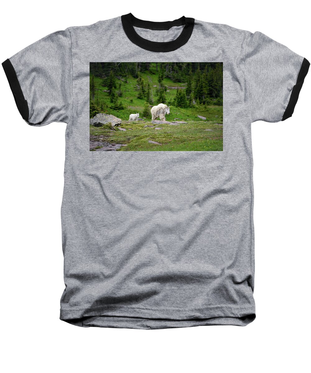 Goats Baseball T-Shirt featuring the photograph Nanny and Kid 1 by Roger Snyder