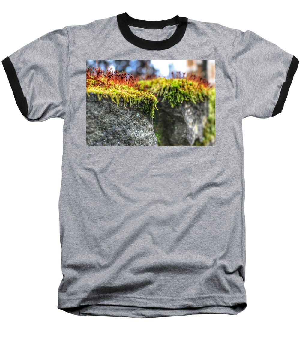 Moss Baseball T-Shirt featuring the photograph Nascent by Christopher Lotito