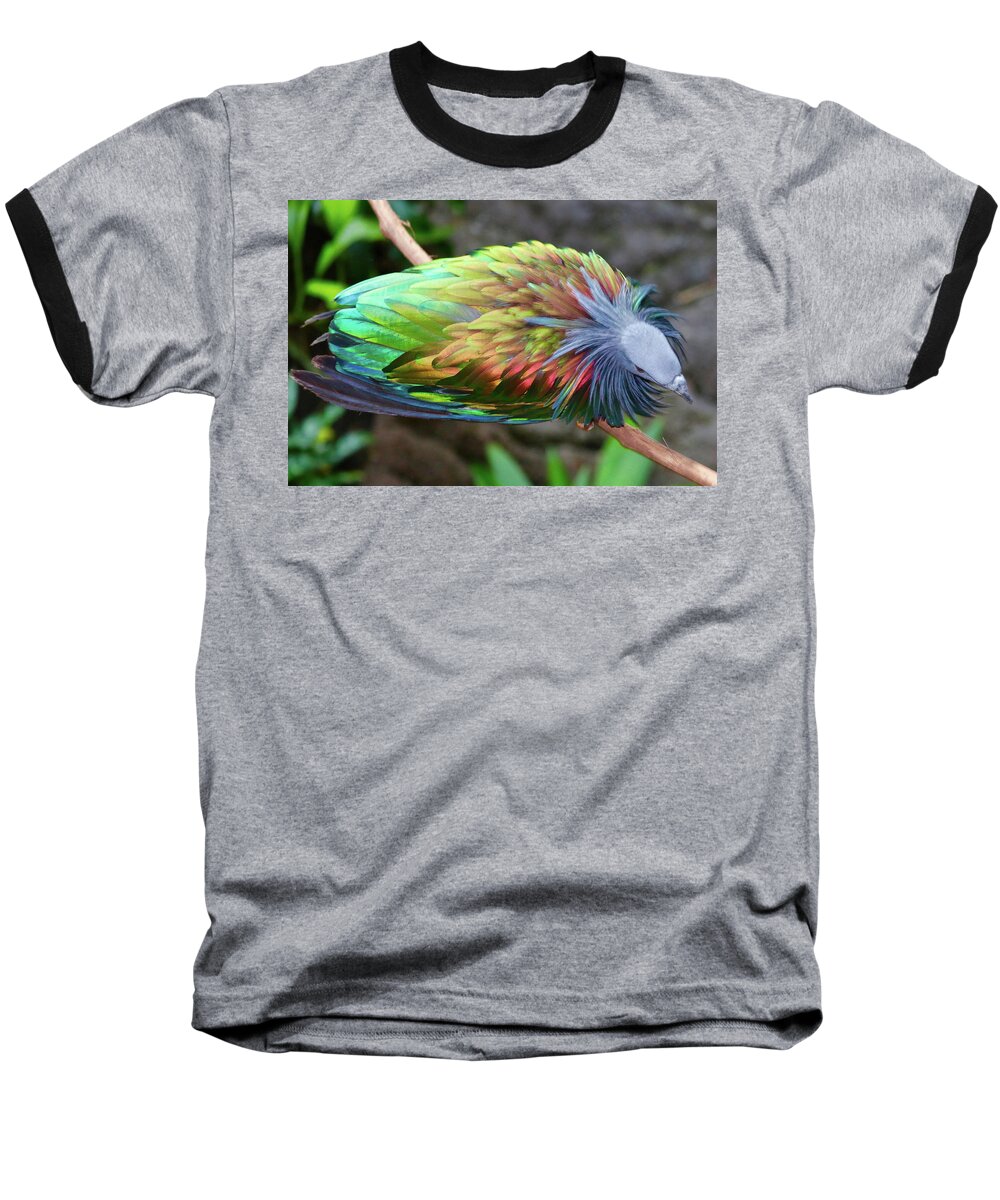Bird Baseball T-Shirt featuring the photograph Nicobar Pigeon by Susan Rydberg