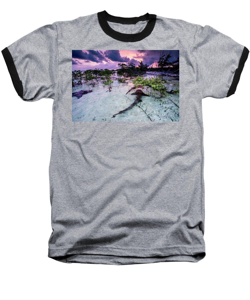 Animal Baseball T-Shirt featuring the photograph Nurse Sharks Three In A Courtship Dance At Sunrise In A by Shane Gross / Naturepl.com