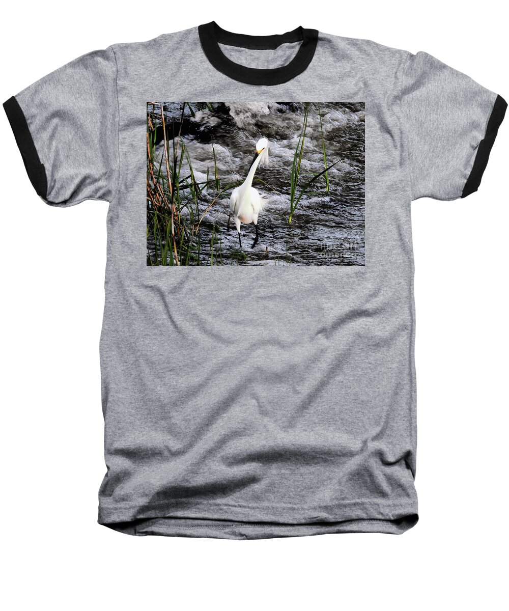 Egret Baseball T-Shirt featuring the photograph Oblivious Great White Egret by Scott Cameron