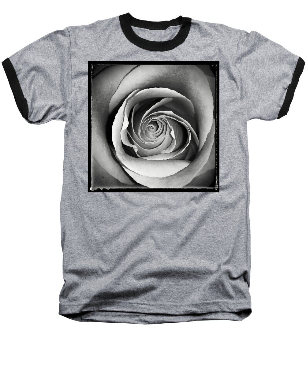 Rose Baseball T-Shirt featuring the photograph Old Rose by Nathan Little