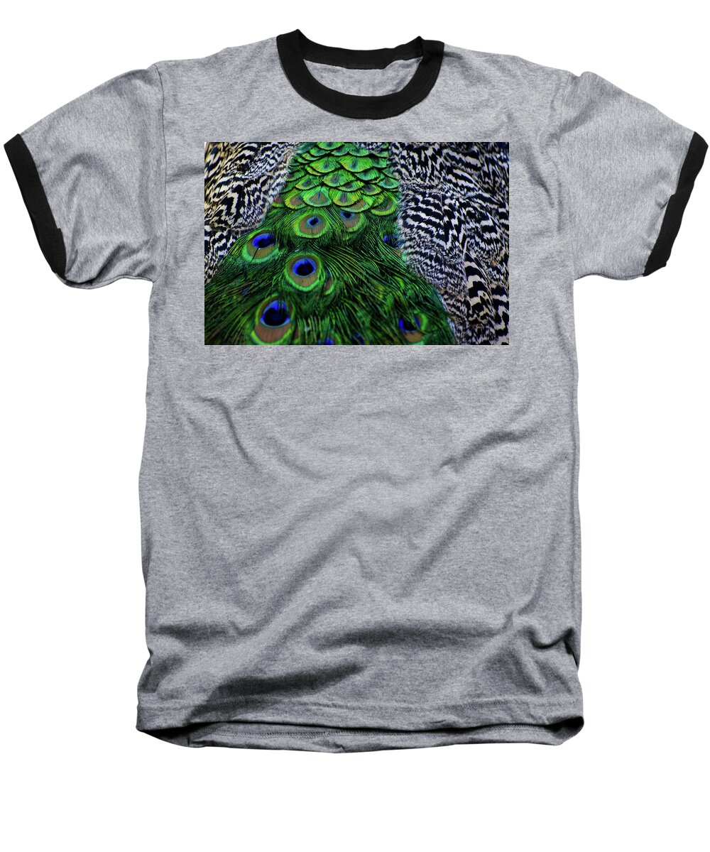 Feathers Baseball T-Shirt featuring the photograph Patterns and Colors by Melisa Elliott