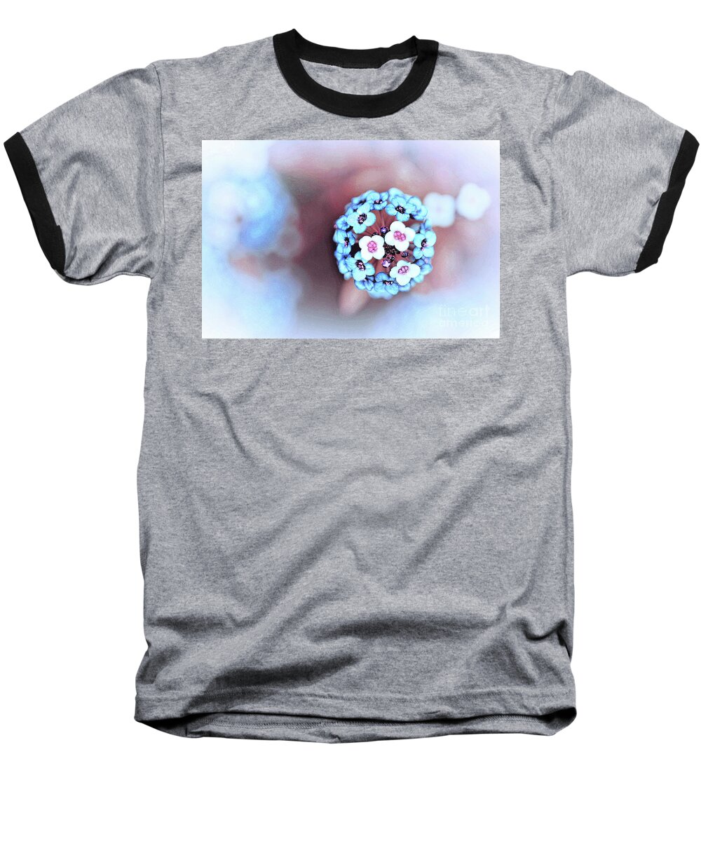 Flower Baseball T-Shirt featuring the photograph Petal Dreams by Tracey Lee Cassin