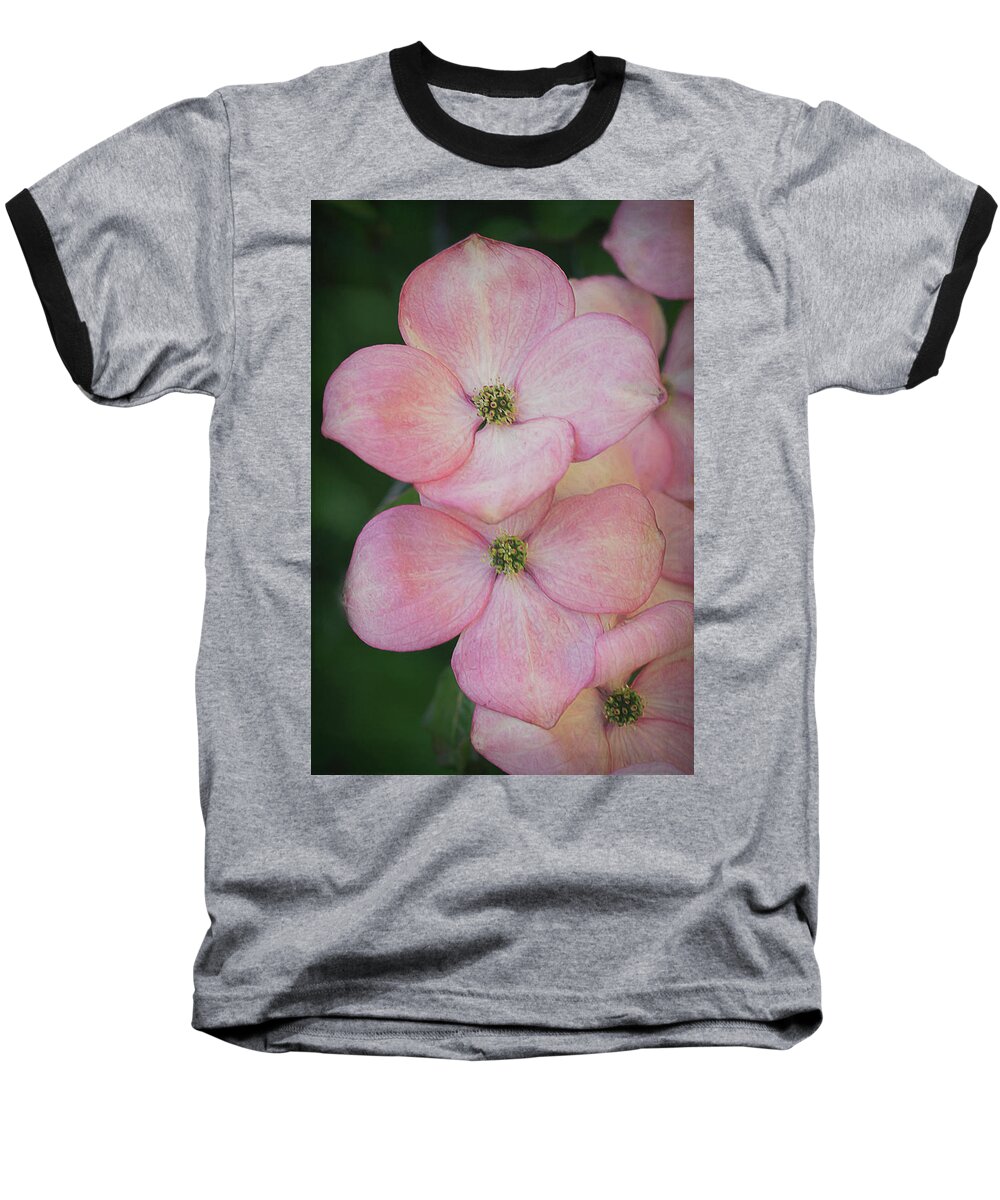 Pink Baseball T-Shirt featuring the photograph Pink Dogwood Blossoms by TL Wilson Photography by Teresa Wilson