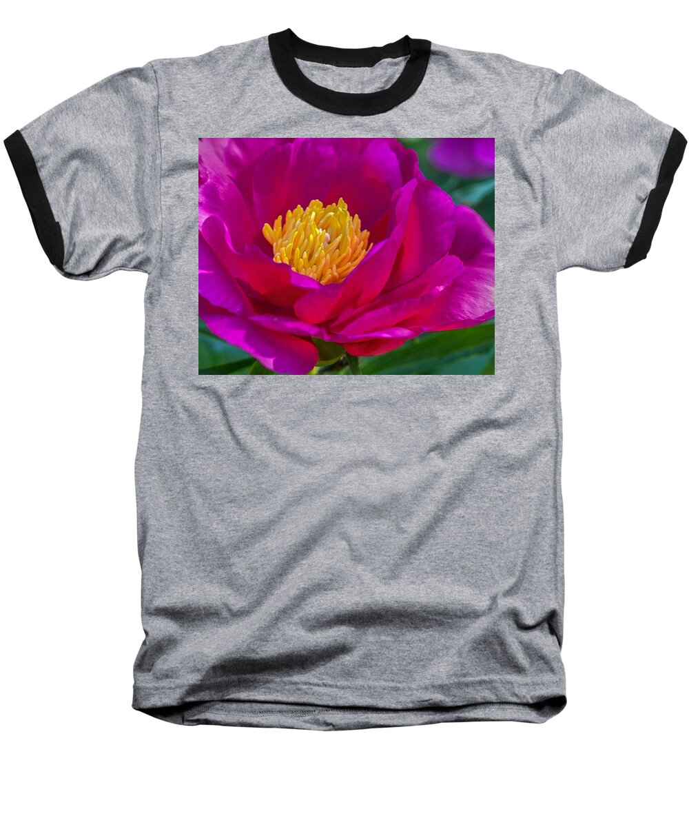 Peony Baseball T-Shirt featuring the photograph Pink Peony by Susan Rydberg
